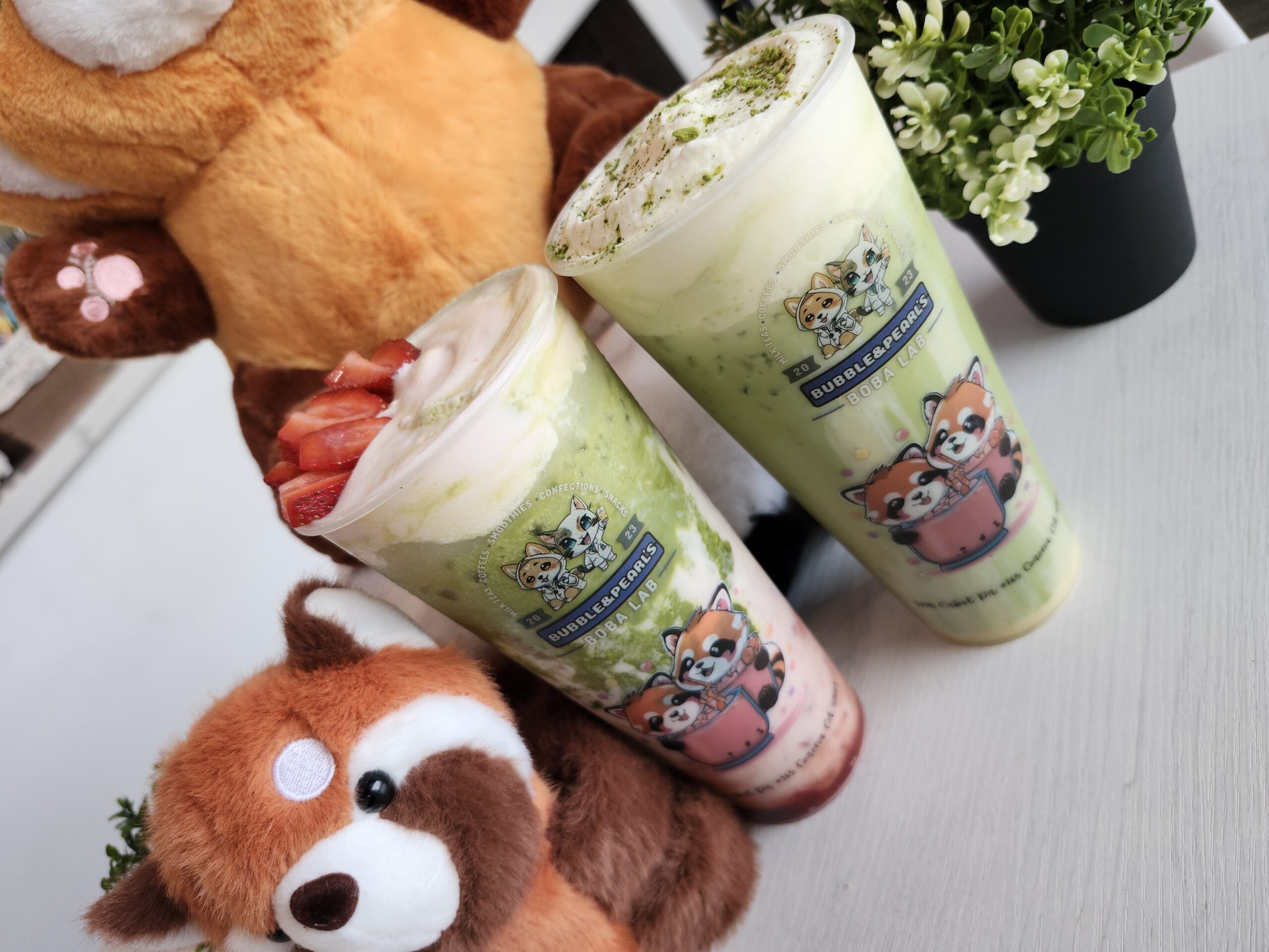 Colorful Drink Lineup at Bubble & Pearl's Boba Lab